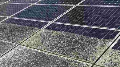 Maximaler Ertrag für Solardächer